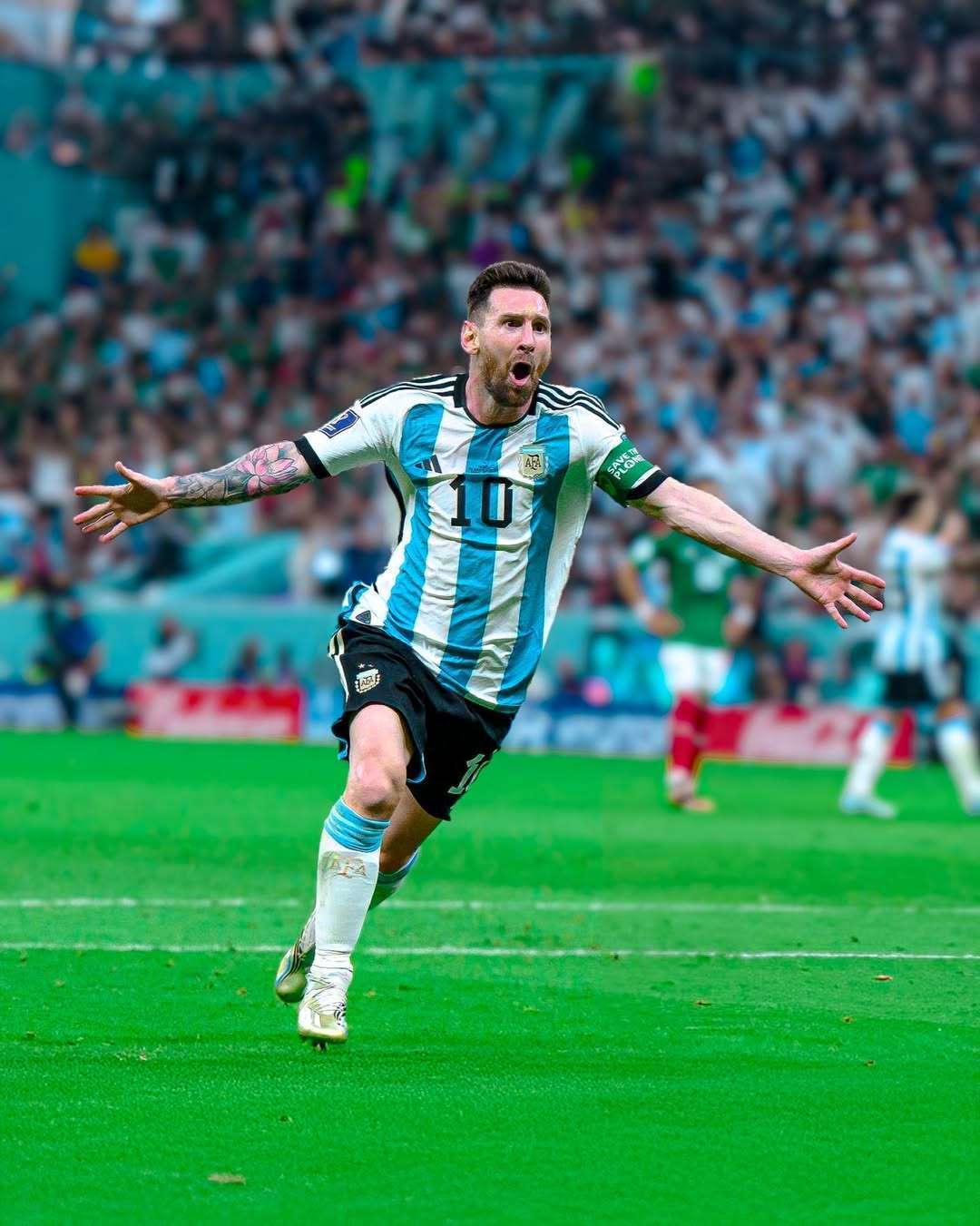 词布局方案 词布局方案